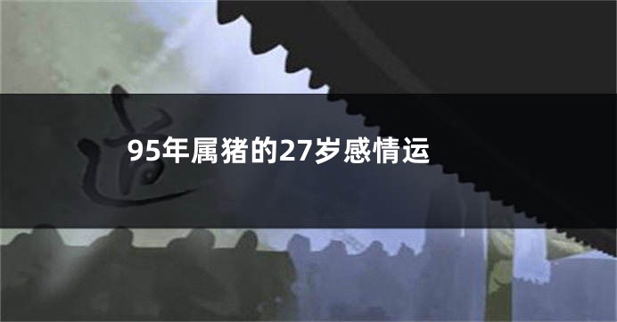 95年属猪的27岁感情运
