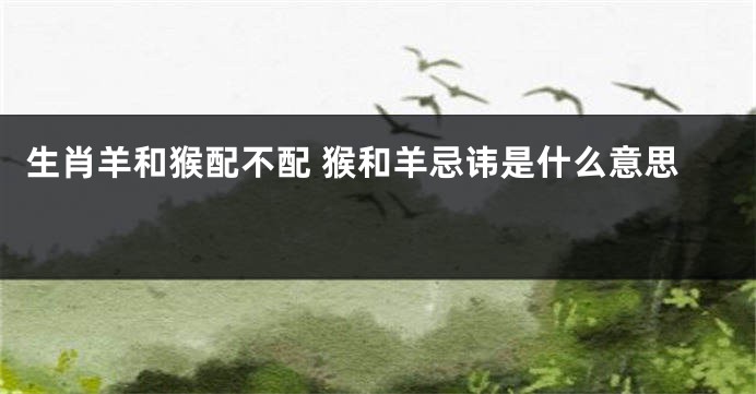 生肖羊和猴配不配 猴和羊忌讳是什么意思 