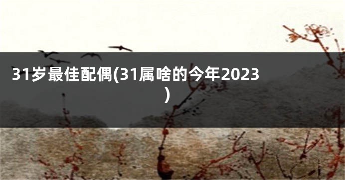 31岁最佳配偶(31属啥的今年2023)