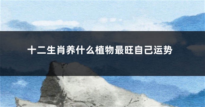 十二生肖养什么植物最旺自己运势