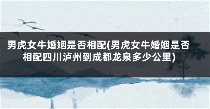 男虎女牛婚姻是否相配(男虎女牛婚姻是否相配四川泸州到成都龙泉多少公里)