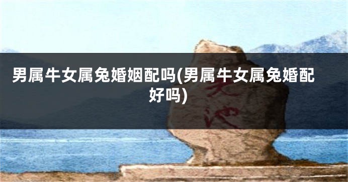 男属牛女属兔婚姻配吗(男属牛女属兔婚配好吗)