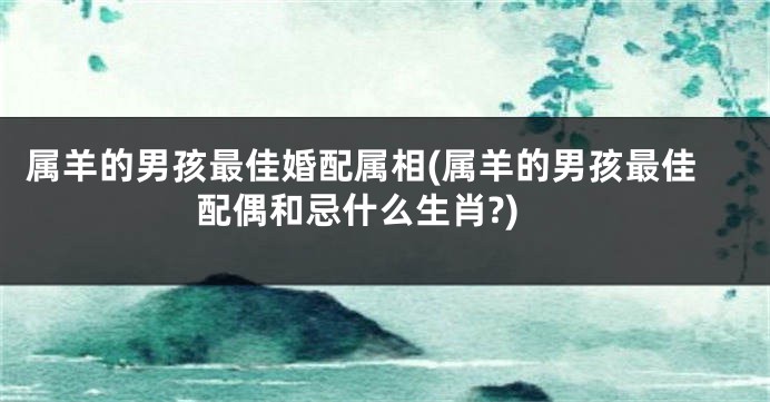 属羊的男孩最佳婚配属相(属羊的男孩最佳配偶和忌什么生肖?)