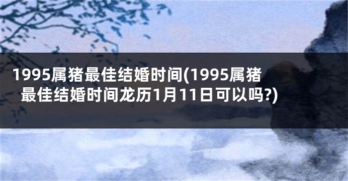 1995属猪最佳结婚时间(1995属猪最佳结婚时间龙历1月11日可以吗?)