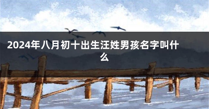 2024年八月初十出生汪姓男孩名字叫什么