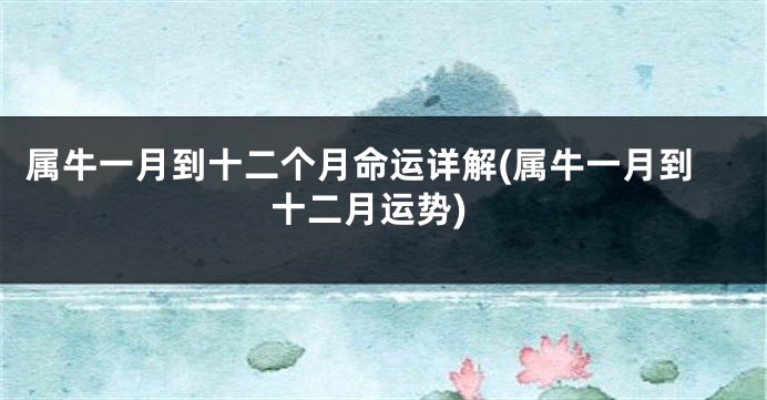 属牛一月到十二个月命运详解(属牛一月到十二月运势)