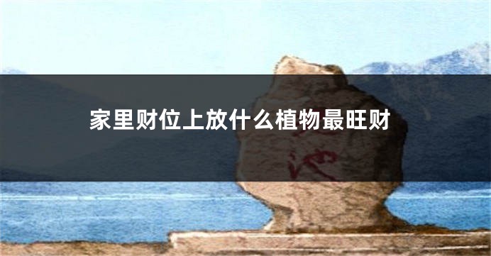 家里财位上放什么植物最旺财