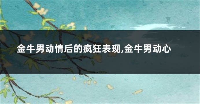 金牛男动情后的疯狂表现,金牛男动心