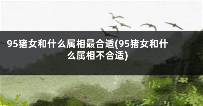 95猪女和什么属相最合适(95猪女和什么属相不合适)