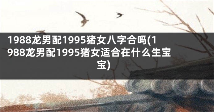 1988龙男配1995猪女八字合吗(1988龙男配1995猪女适合在什么生宝宝)
