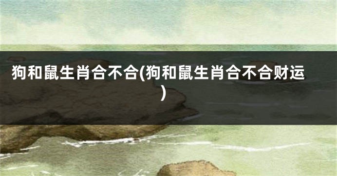 狗和鼠生肖合不合(狗和鼠生肖合不合财运)