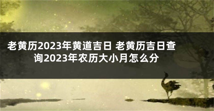 老黄历2023年黄道吉日 老黄历吉日查询2023年农历大小月怎么分