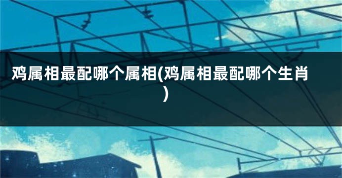 鸡属相最配哪个属相(鸡属相最配哪个生肖)