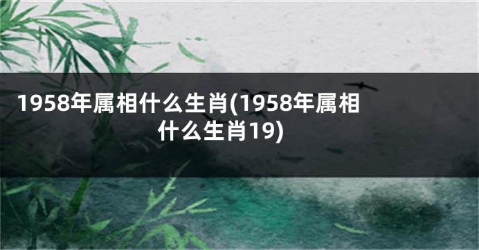 1958年属相什么生肖(1958年属相什么生肖19)
