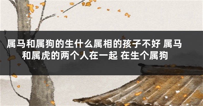 属马和属狗的生什么属相的孩子不好 属马和属虎的两个人在一起 在生个属狗