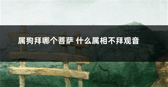 属狗拜哪个菩萨 什么属相不拜观音
