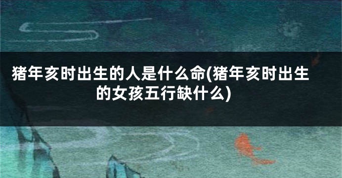 猪年亥时出生的人是什么命(猪年亥时出生的女孩五行缺什么)