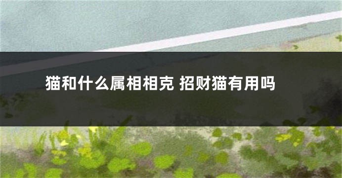 猫和什么属相相克 招财猫有用吗