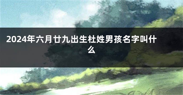 2024年六月廿九出生杜姓男孩名字叫什么