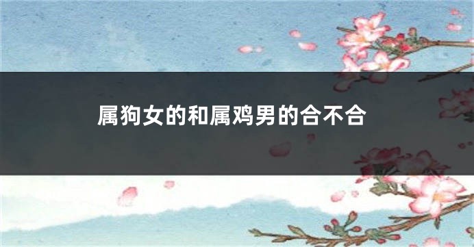 属狗女的和属鸡男的合不合