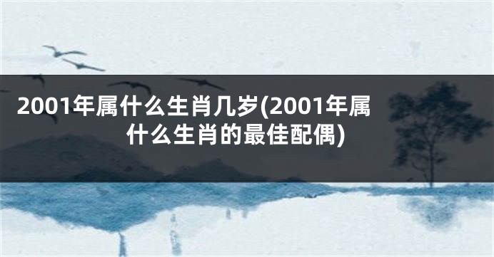 2001年属什么生肖几岁(2001年属什么生肖的最佳配偶)