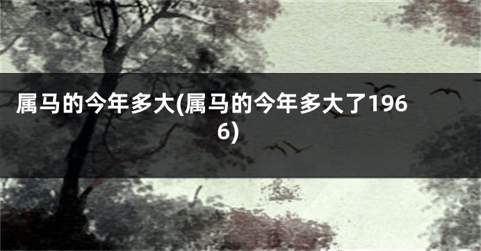 属马的今年多大(属马的今年多大了1966)