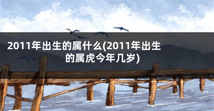 2011年出生的属什么(2011年出生的属虎今年几岁)