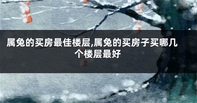 属兔的买房最佳楼层,属兔的买房子买哪几个楼层最好