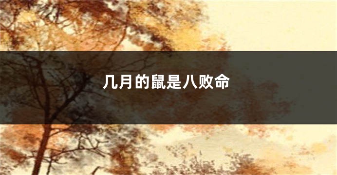 几月的鼠是八败命