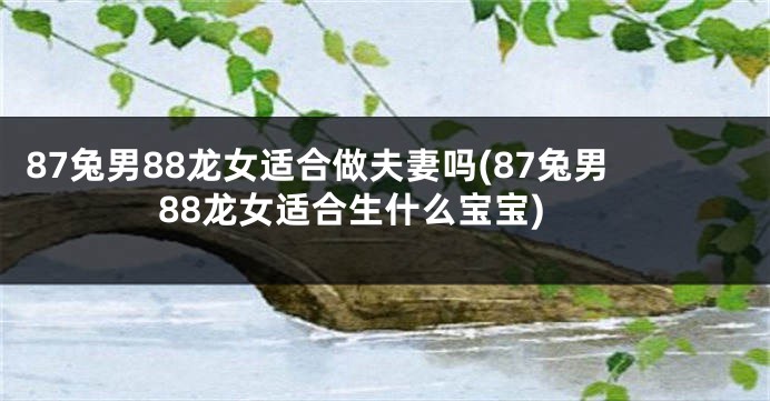 87兔男88龙女适合做夫妻吗(87兔男88龙女适合生什么宝宝)