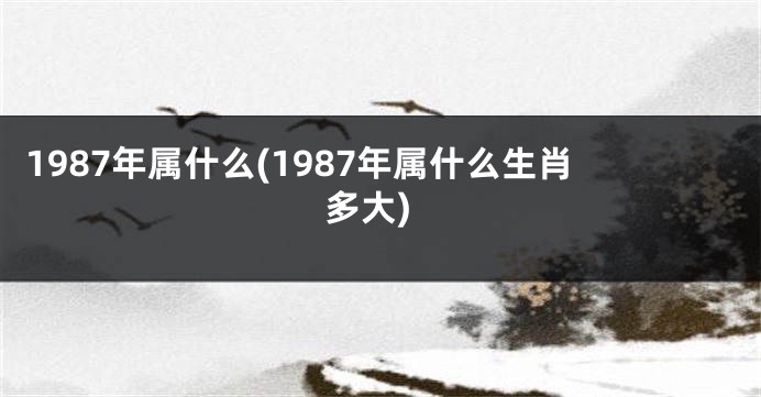 1987年属什么(1987年属什么生肖多大)