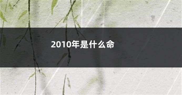 2010年是什么命