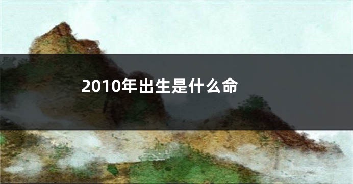 2010年出生是什么命