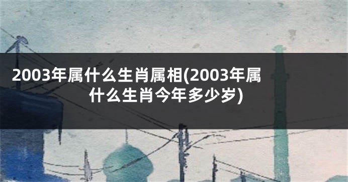 2003年属什么生肖属相(2003年属什么生肖今年多少岁)