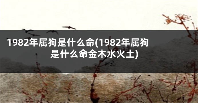 1982年属狗是什么命(1982年属狗是什么命金木水火土)