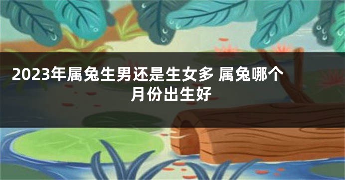 2023年属兔生男还是生女多 属兔哪个月份出生好