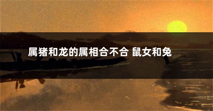 属猪和龙的属相合不合 鼠女和兔