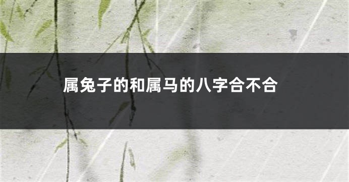 属兔子的和属马的八字合不合