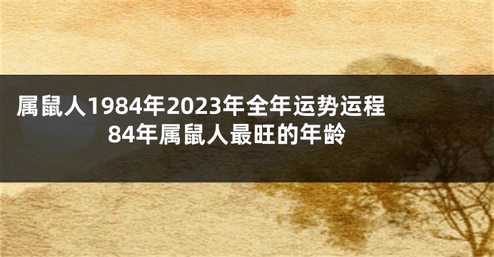 属鼠人1984年2023年全年运势运程 84年属鼠人最旺的年龄