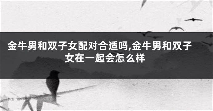 金牛男和双子女配对合适吗,金牛男和双子女在一起会怎么样