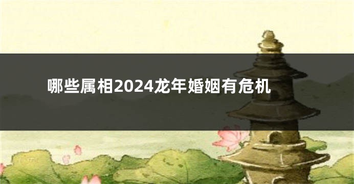 哪些属相2024龙年婚姻有危机