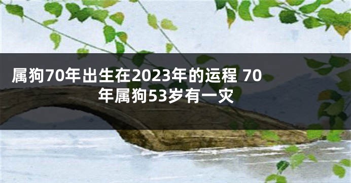 属狗70年出生在2023年的运程 70年属狗53岁有一灾