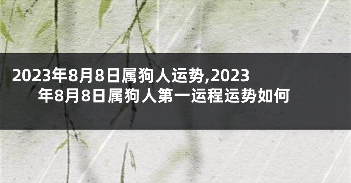 2023年8月8日属狗人运势,2023年8月8日属狗人第一运程运势如何