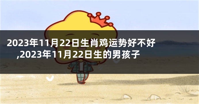 2023年11月22日生肖鸡运势好不好,2023年11月22日生的男孩子