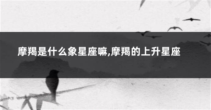 摩羯是什么象星座嘛,摩羯的上升星座