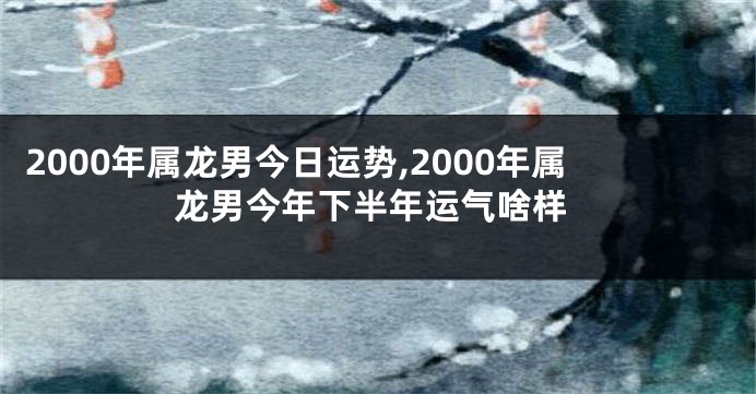 2000年属龙男今日运势,2000年属龙男今年下半年运气啥样