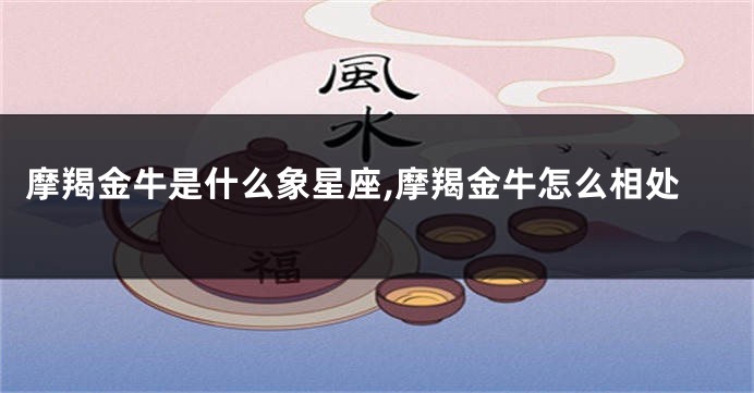 摩羯金牛是什么象星座,摩羯金牛怎么相处