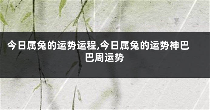今日属兔的运势运程,今日属兔的运势神巴巴周运势