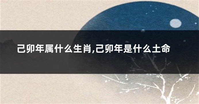 己卯年属什么生肖,己卯年是什么土命