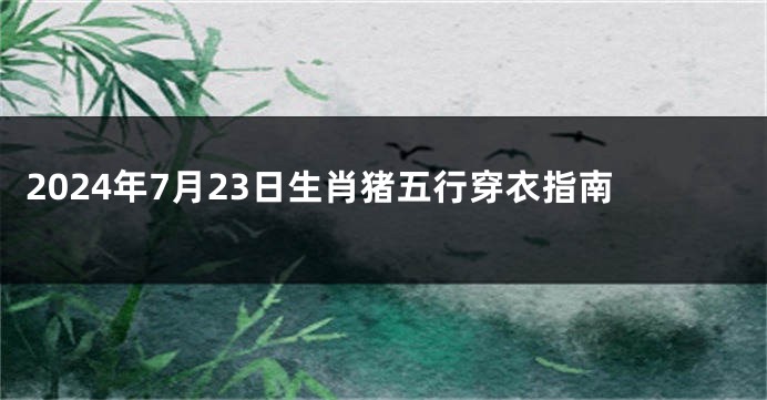 2024年7月23日生肖猪五行穿衣指南